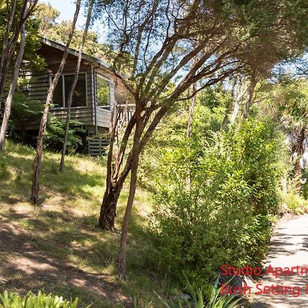 Bay Of Islands Holiday Apartments Пейхія Номер фото